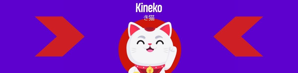 Kineko Schweiz Banner